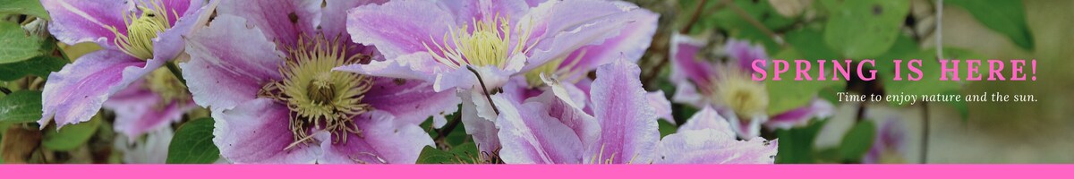 Spring Header